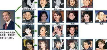 爆料澳门赌王视频大全最新,最新视频大全全解析  第3张